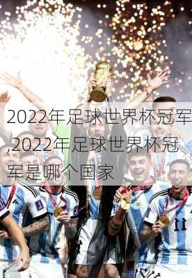 2022年足球世界杯冠军,2022年足球世界杯冠军是哪个国家